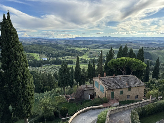 An Unforgettable Journey: Rome, Tuscany, and Florence