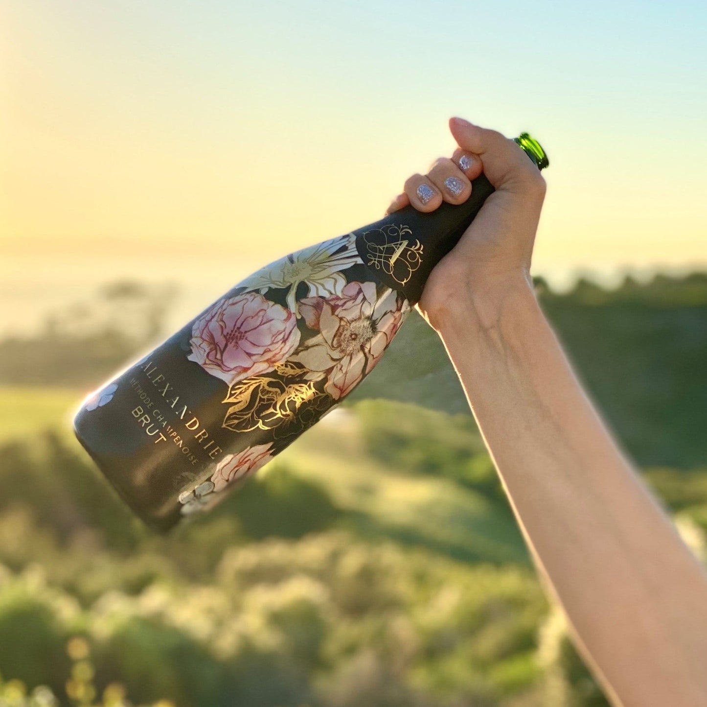 Alexandrie Brut - Alexandrie Cellars