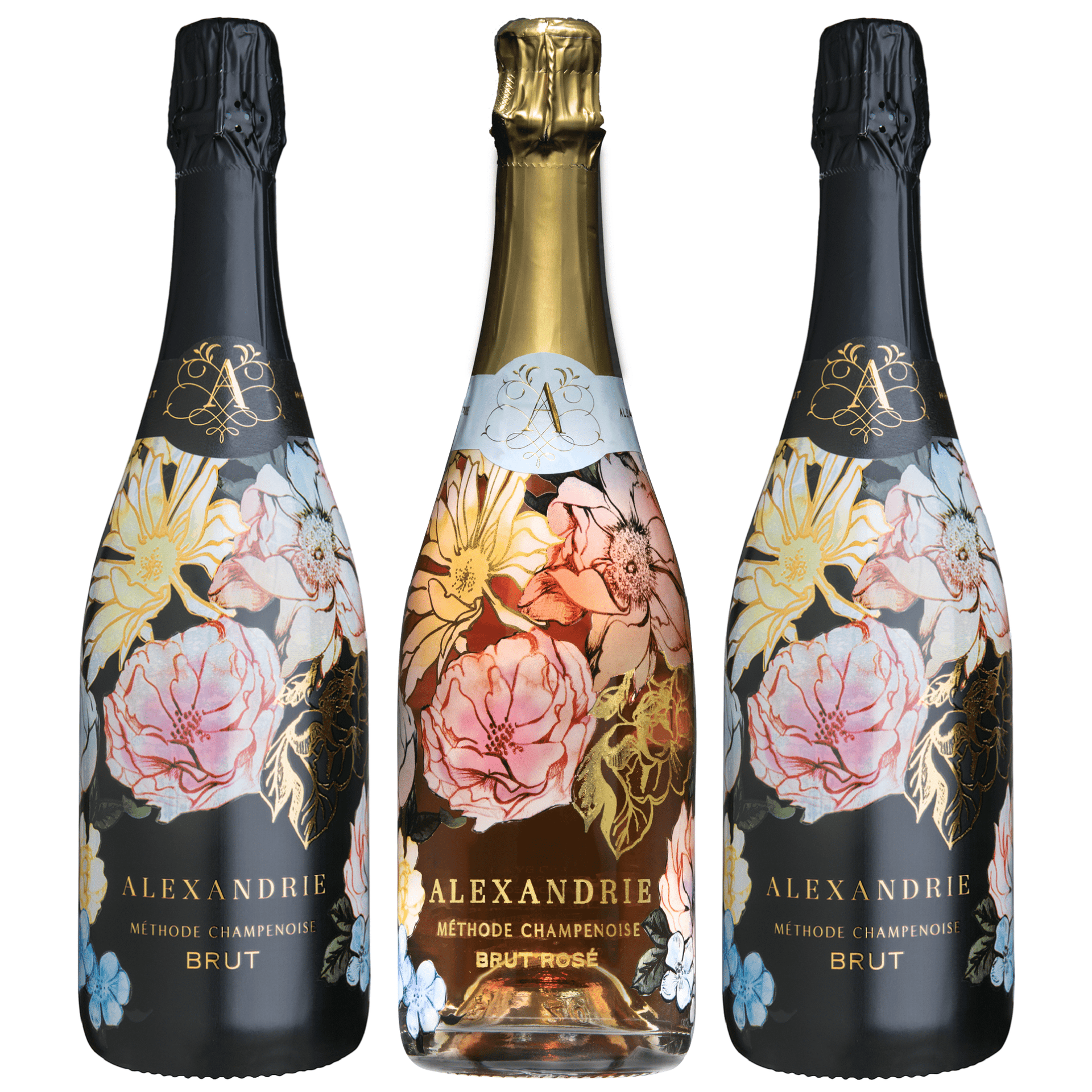 alexandrie-bubble-club-472342.